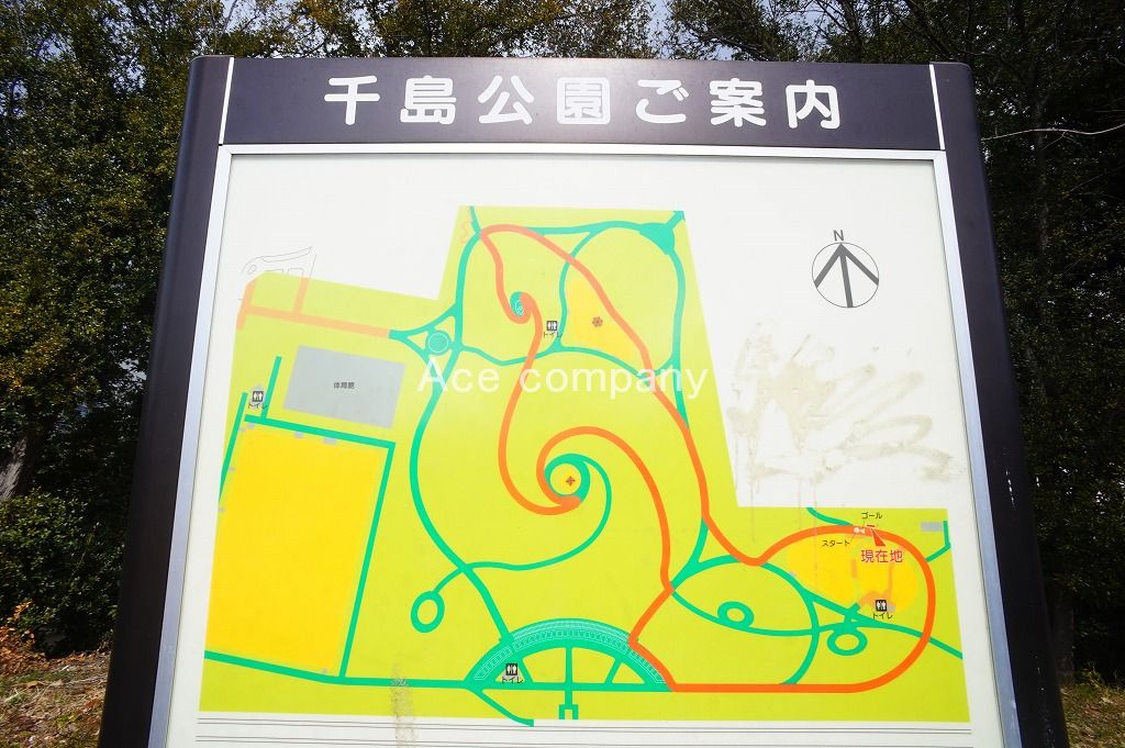 の画像