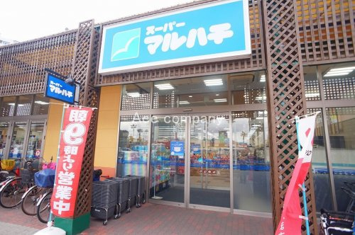 の画像