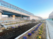 大場インター横公園