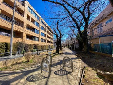 烏山川緑道の画像1