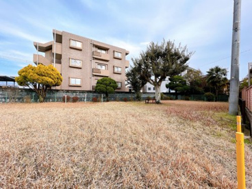 中団地公園の画像1