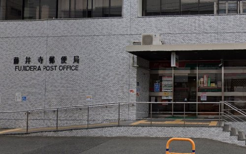 の画像