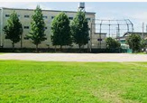 伏見公園野球場・運動場