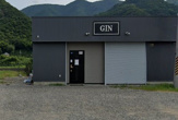 GIN