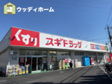 スギドラッグ　鳩ケ谷店