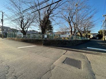 さくら公園の画像1