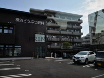 横浜どうぶつ眼科