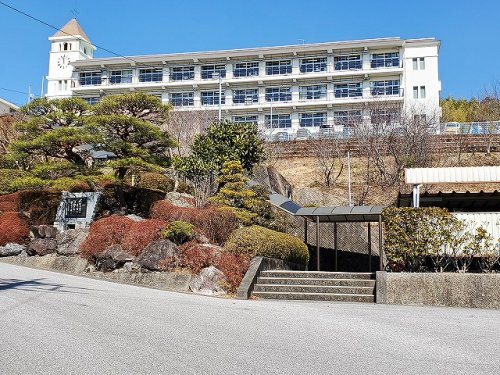 の画像