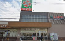 ライフ 玉出東店