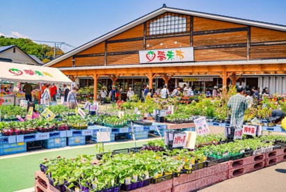 JAあつぎ 夢未市本店の画像1