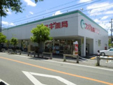 スギ薬局上ノ島店