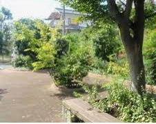 森本緑地の画像1