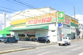 ジャパン 塚口店