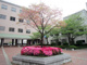 久留米大学医学部看護学科の画像