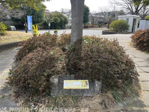 牛久保東なつみかん公園