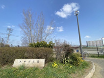 大和川公園