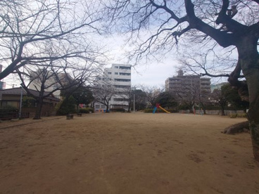 新田公園の画像1