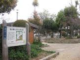 公園 森公園