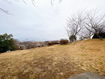 片平山公園の画像1