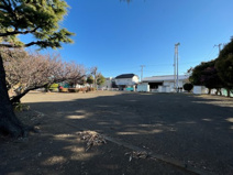 緑ヶ丘公園