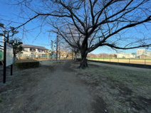 沼津北公園