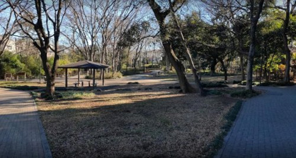 仙波河岸史跡公園の画像1