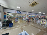ウエルシア沼津北高島町店