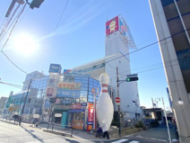 シェルピア貝塚