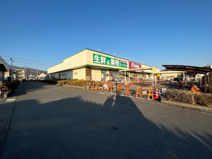 マミー原店