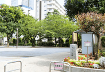 東八ツ山公園