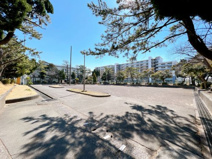 今沢中央公園