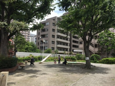 台場浦公園の画像1