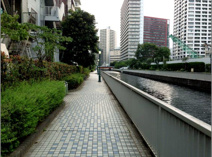 新芝運河沿緑地