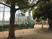 子どもの森公園野球場