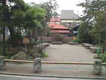 街道松の広場