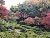 池田山公園
