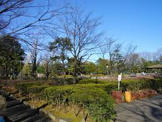 荒川自然公園運動場