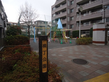 横丁公園の画像1