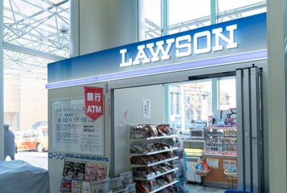 ローソンサテライト 昭和大学東病院店の画像1