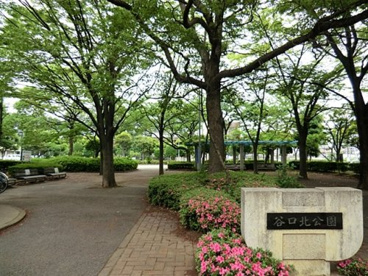 谷口公園の画像1