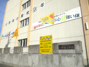 札幌市立小野幌小学校の画像2
