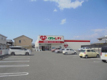 くすりのレデイ 土佐山田店