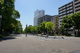 大通り公園の画像