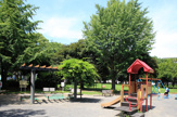 神奈川公園
