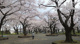 幸ヶ谷公園の画像