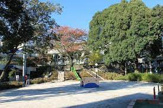 和田さくらの坂公園