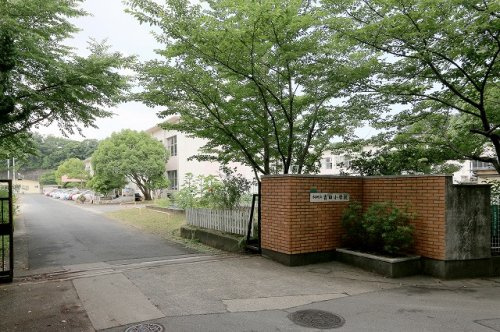 の画像