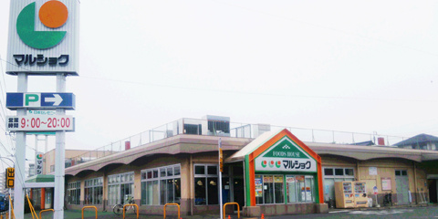 の画像