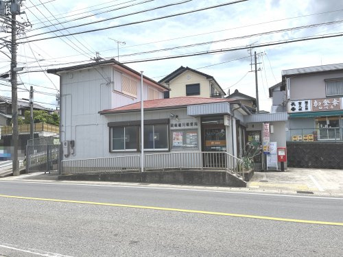 の画像