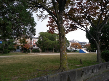 平岡公園の画像1